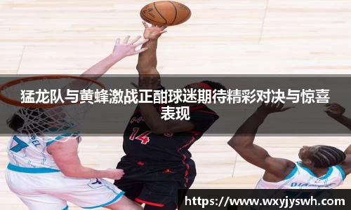 猛龙队与黄蜂激战正酣球迷期待精彩对决与惊喜表现
